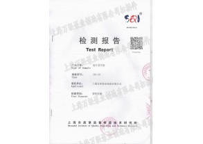 直聯(lián)旋片式真空泵檢測報告